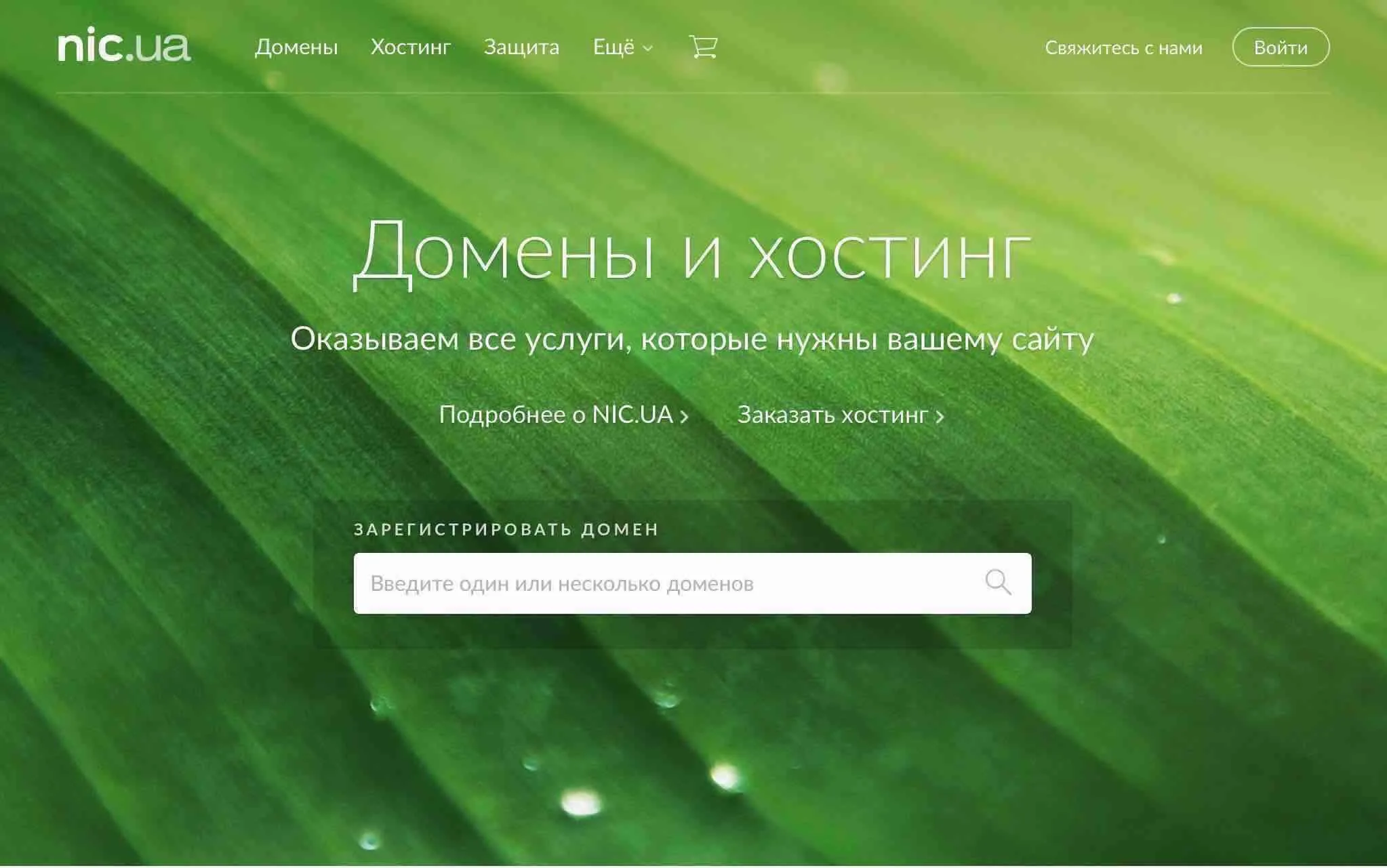 NIC.UA Promo Code — 10% Off All Services